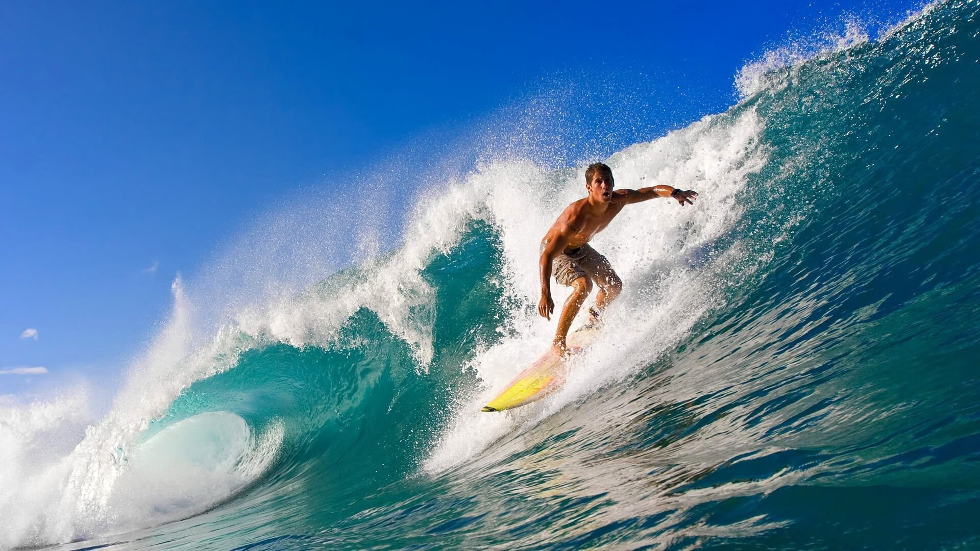 “武汉马拉松：全球马拉松爱好者齐聚赛场”